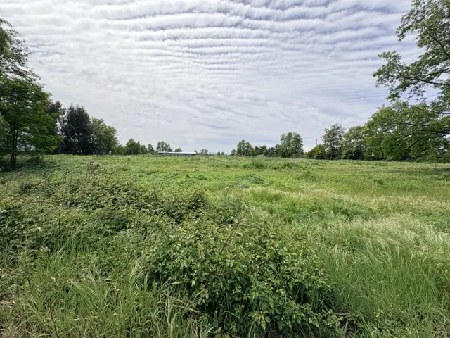 Terreno 5.644 m² · Teno · Sin Contribuciones · $50M · Teno · en venta