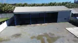 Miniatura 10