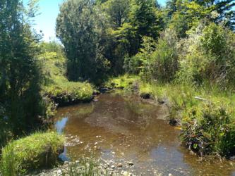 Loteo Chiloé · 10 parcelas de 5.000 m² entre Ancud y Castro