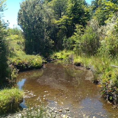 Loteo Chiloé · 10 parcelas de 5.000 m² entre Ancud y Castro · Chiloé