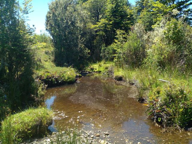 Loteo Chiloé · 10 parcelas de 5.000 m² entre Ancud y Castro · Chiloé · en venta